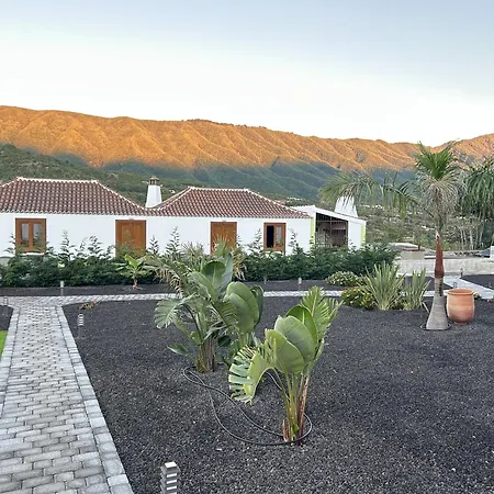 Morera Breña Baja